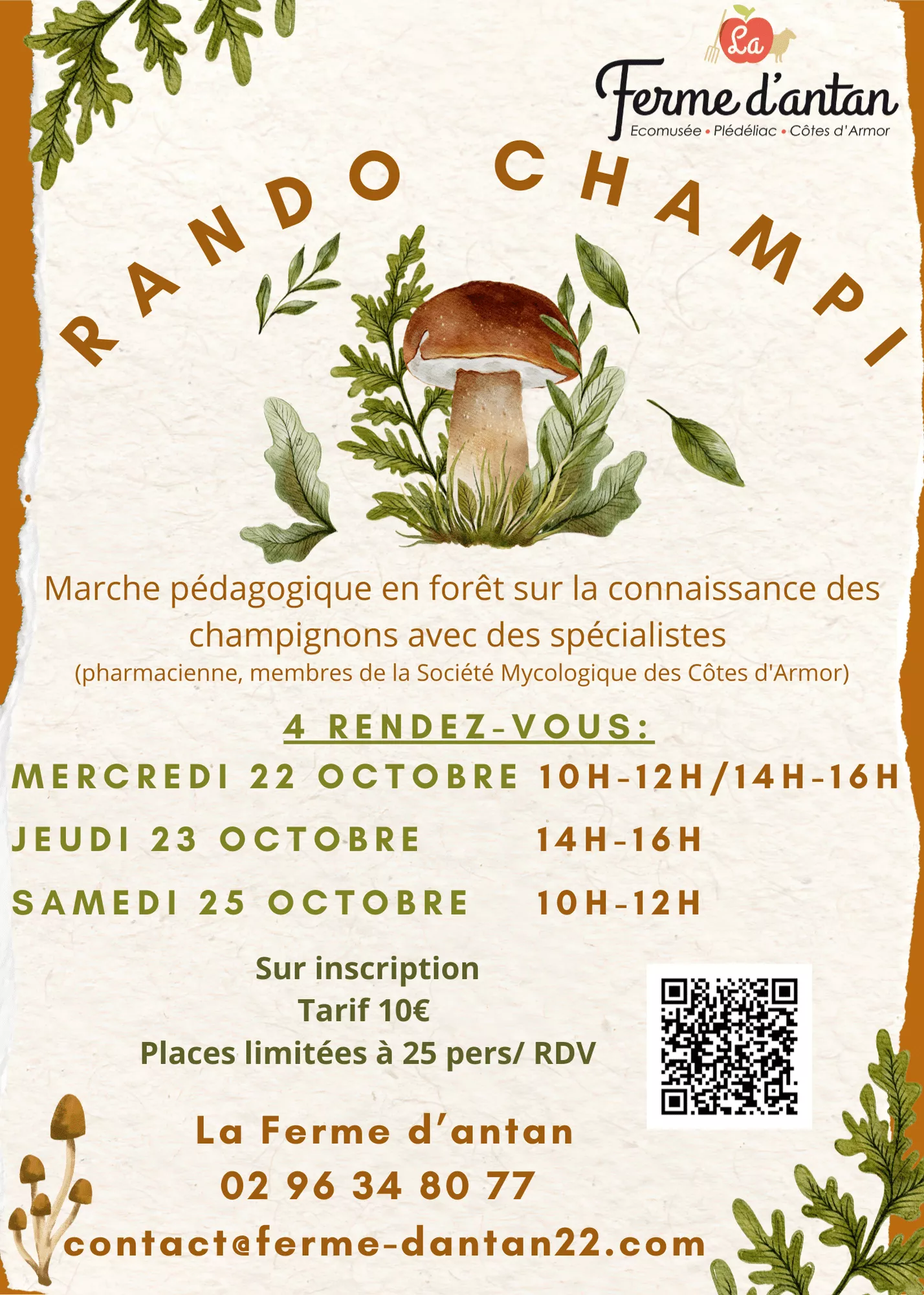 Les « Rando champi »