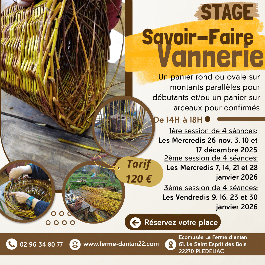 Stage Savoir-Faire Vannerie (1ère session)