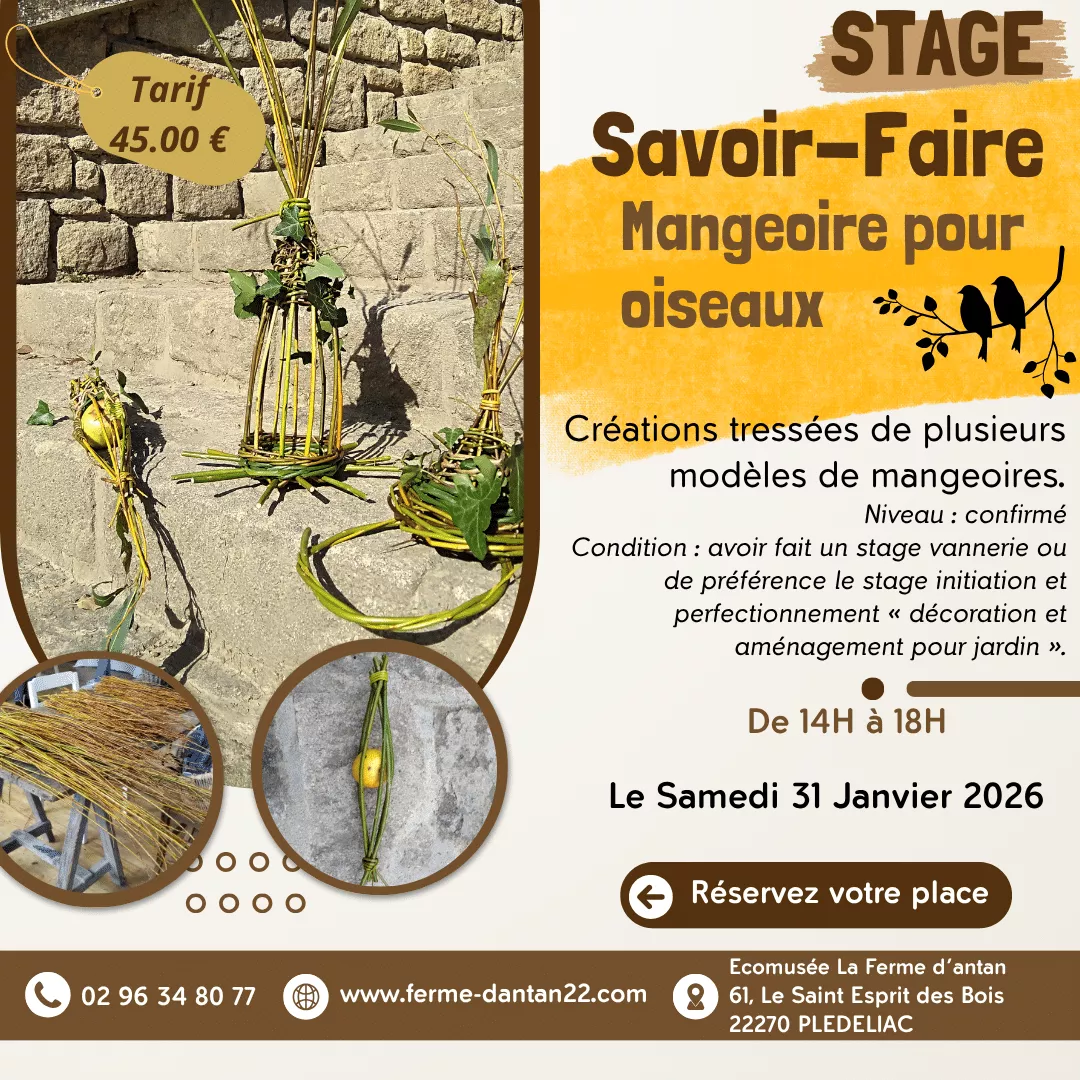 Stage Savoir-Faire Mangeoire pour oiseaux
