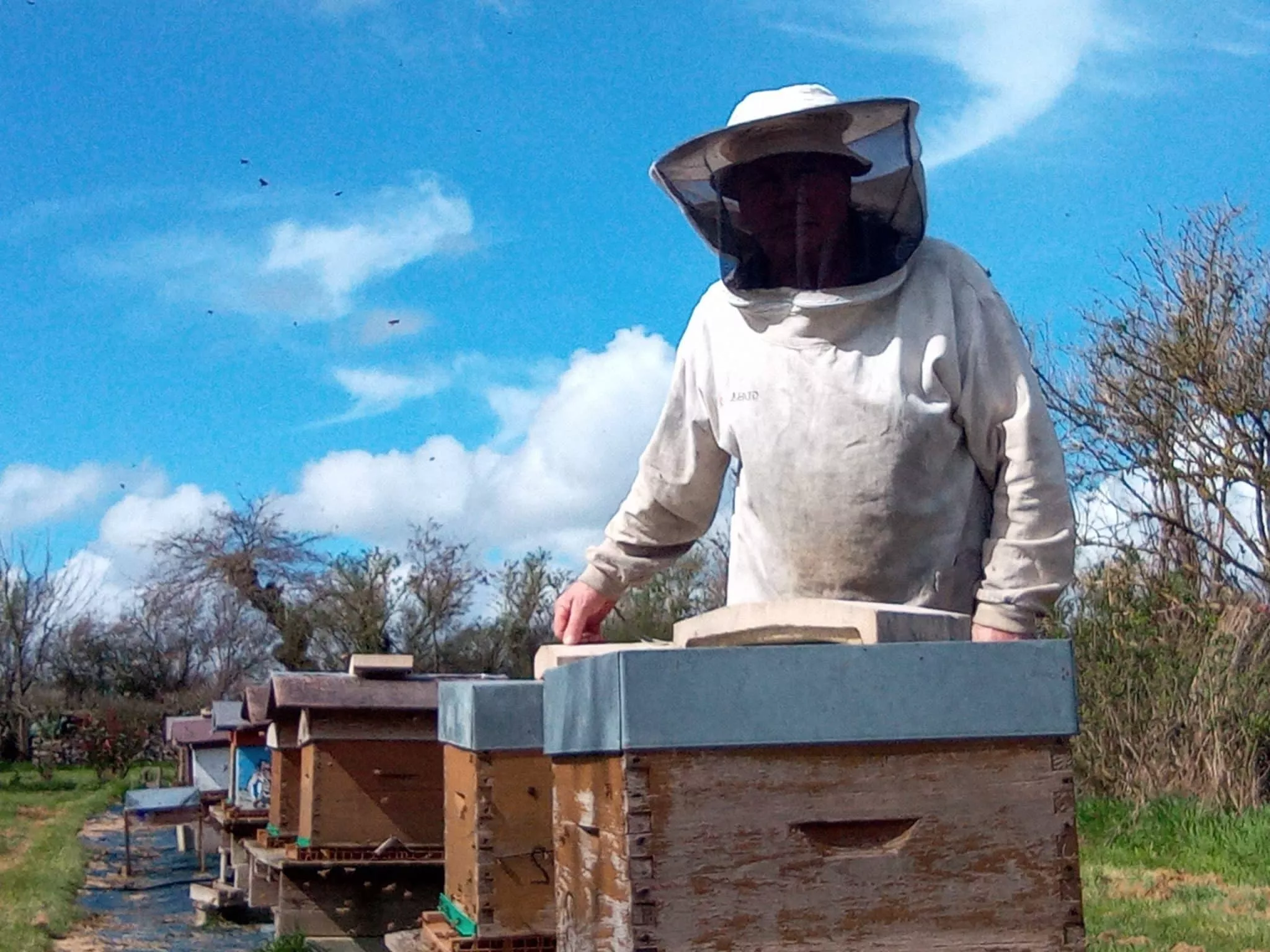 Les dimanches Savoir-Faire