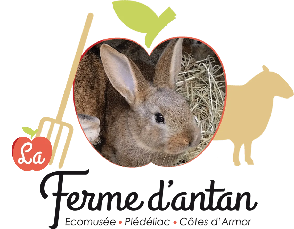 Cherche et Trouve Carotte le lapin!