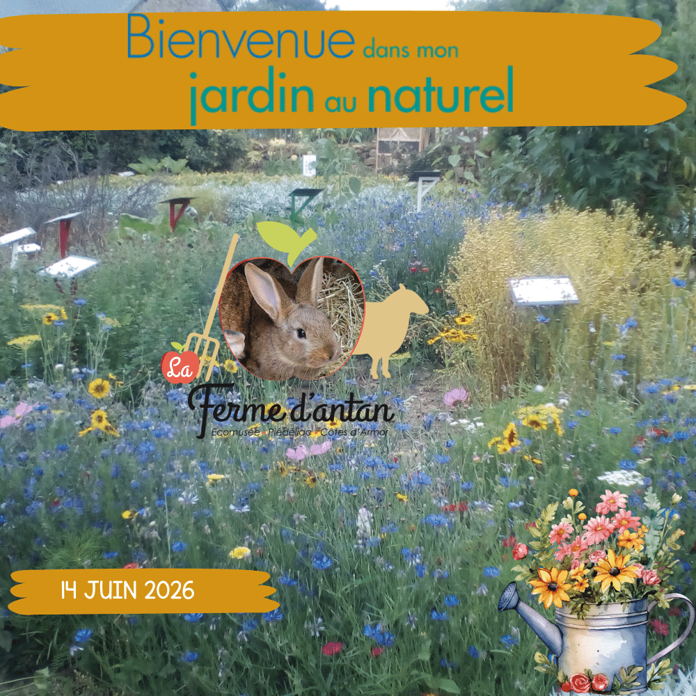 Bienvenue dans mon jardin au naturel