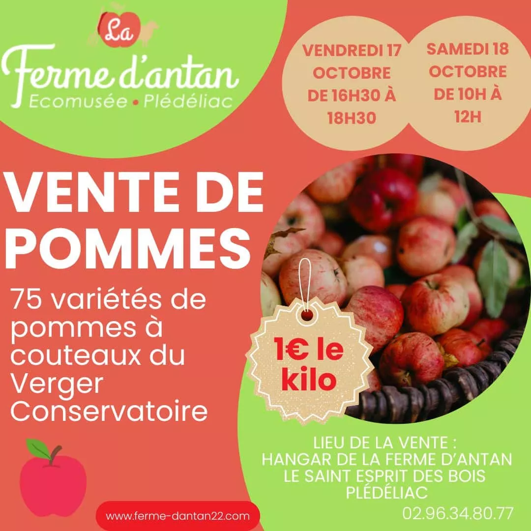Vente de pommes