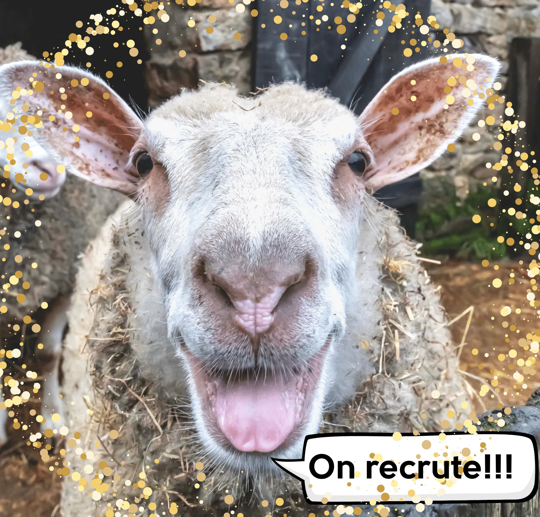 Embauche d&rsquo;un agent d&rsquo;accueil pour la saison 2026